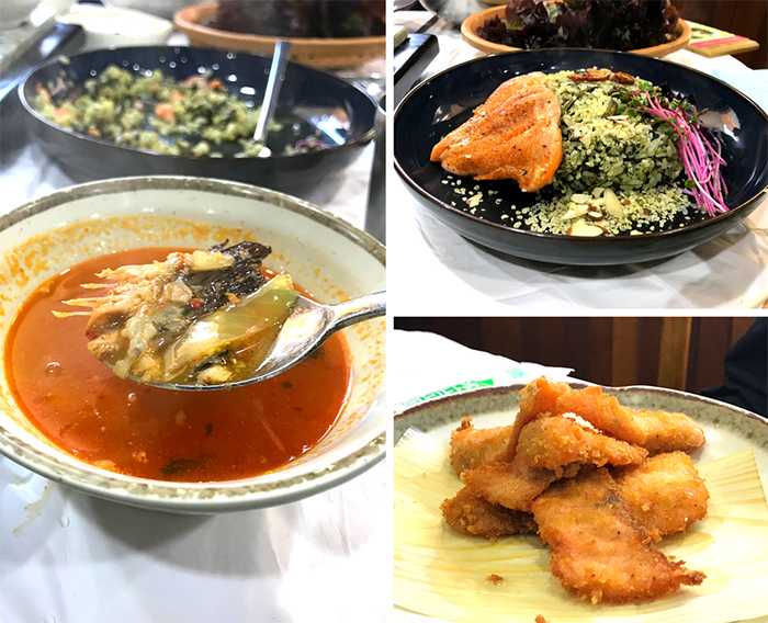 180309_fish 4_in.jpg
